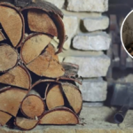 Il a stocké son bois deux étés contre le mur nord : le ramoneur a trouvé un taux d’humidité de 30 % au premier feu de novembre